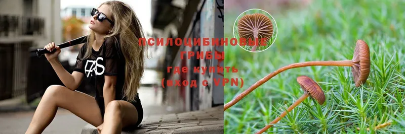 Псилоцибиновые грибы Magic Shrooms  хочу   площадка как зайти  Вязьма 